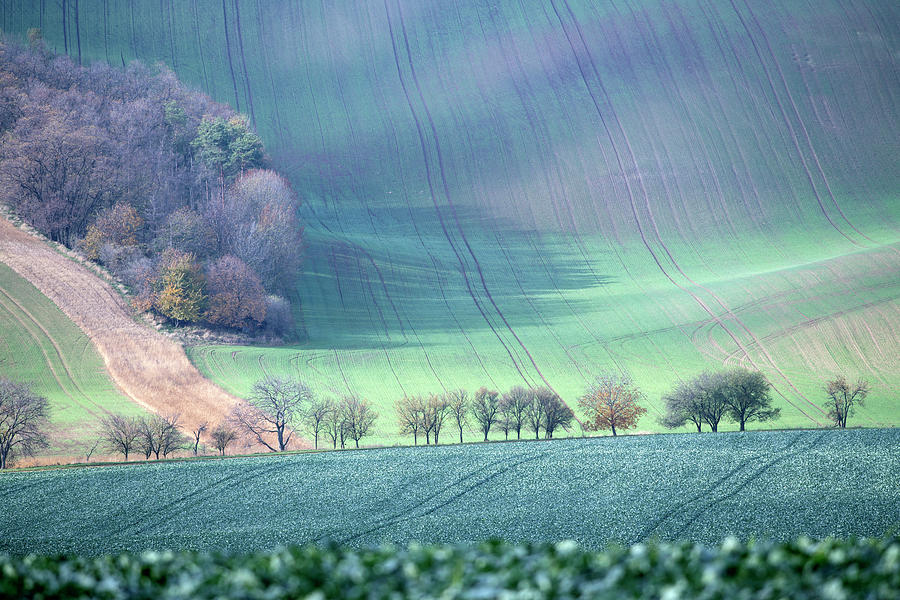 Autumn in South Moravia 2 Photograph by Dubi Roman