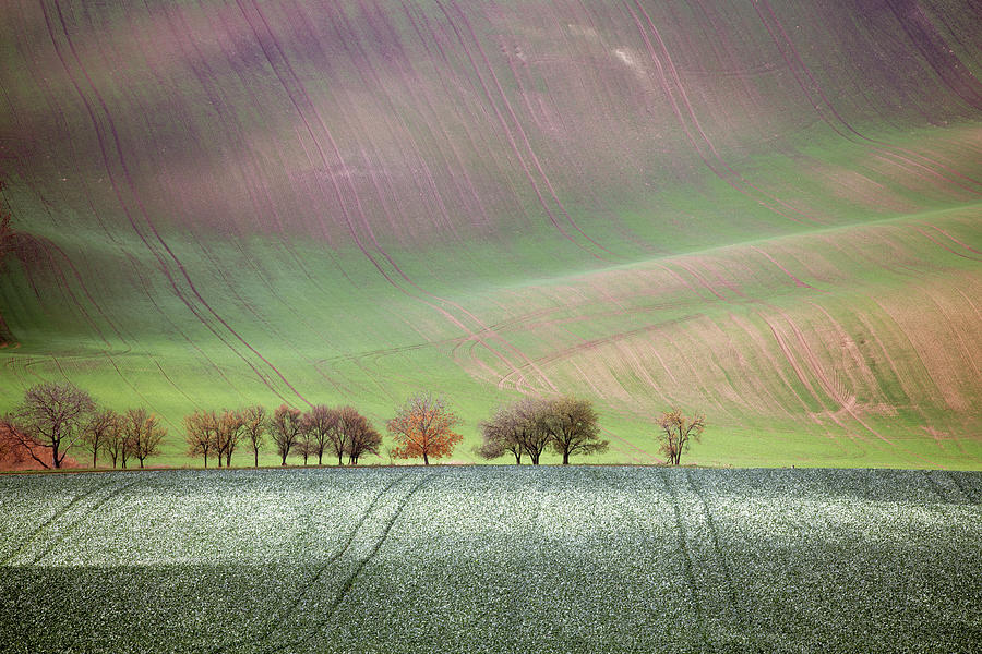 Autumn in South Moravia 1 Photograph by Dubi Roman