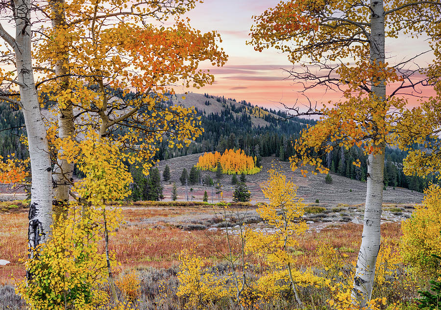 Autumn in Southeast Idaho Photograph by Leland D Howard
