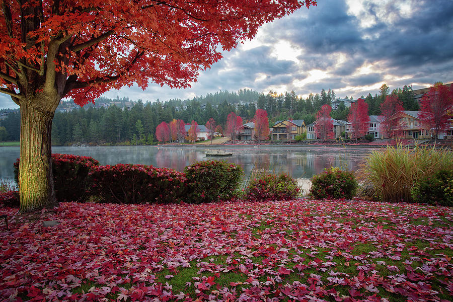 Autumn in Spokane Photograph by James Richman