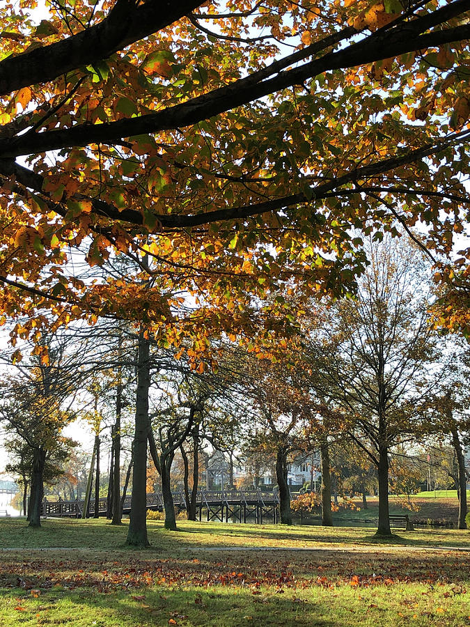 Autumn in Spring Lake Photograph by Kerry Tarigo - Fine Art America