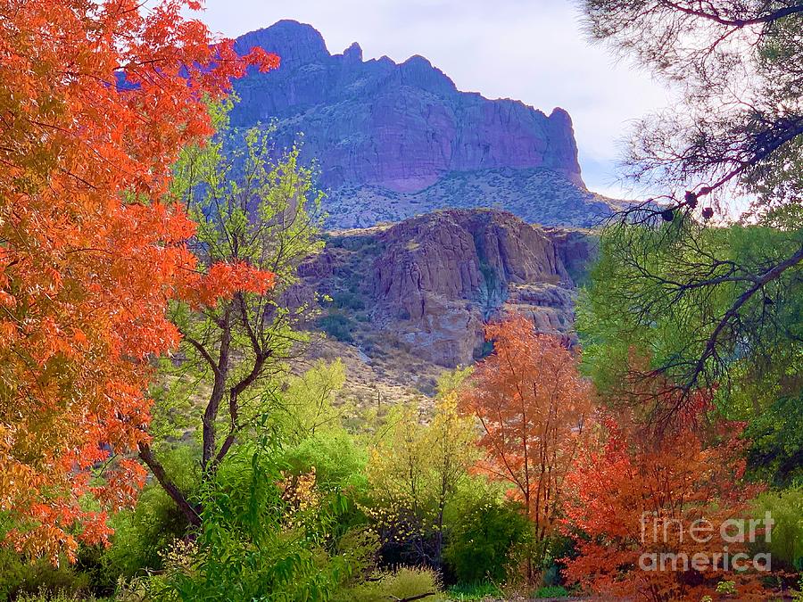 Autumn in Superior Arizona Digital Art by Tammy Keyes