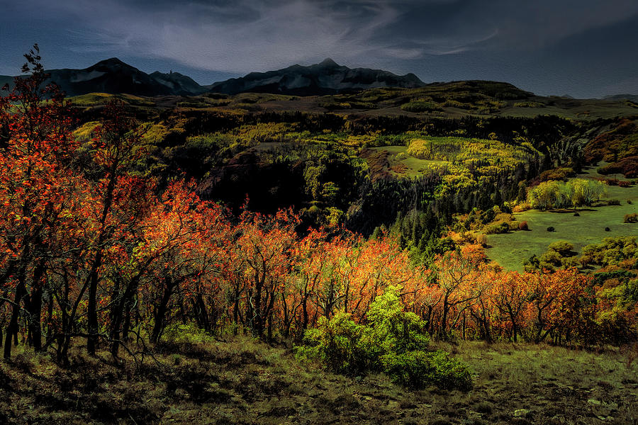 Autumn in Telluride Photograph by Norma Brandsberg