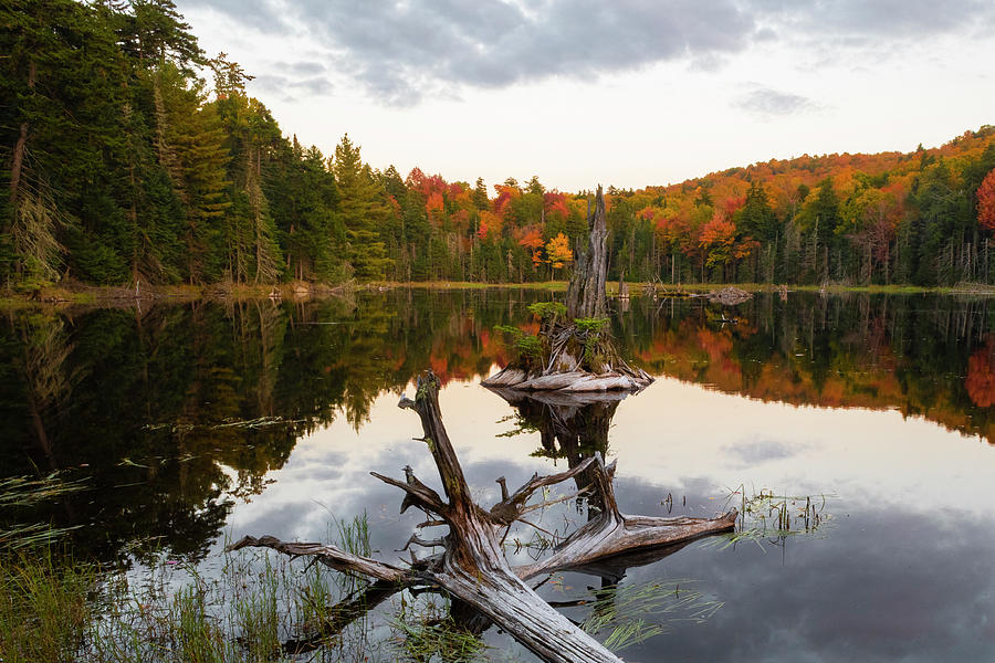 Autumn in the Adirondacks Photograph by Bob Grabowski