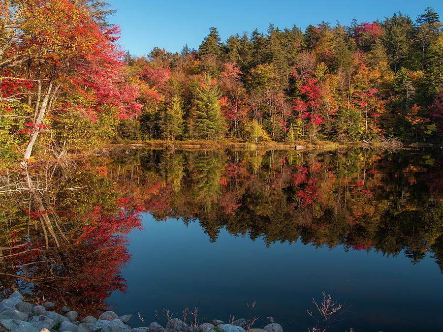 Autumn in the ADK Photograph by Stewart Helberg