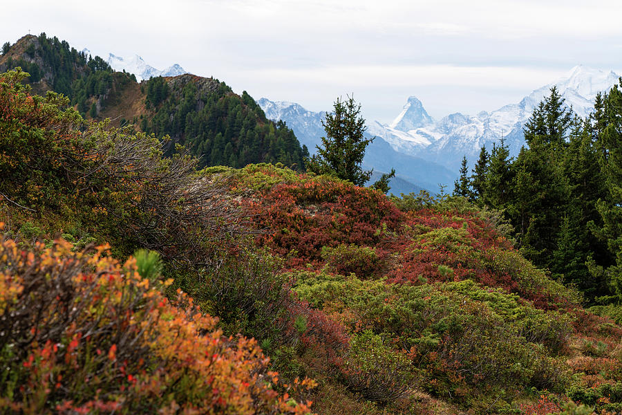 Autumn in the Alps Photograph by Ewa Jermakowicz