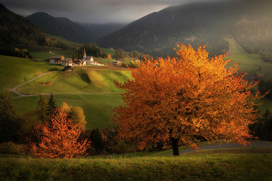 Autumn in the Alps Photograph by Piotr Skrzypiec