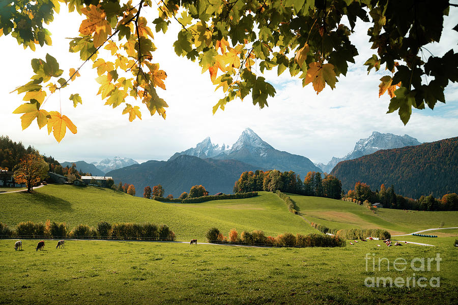 Autumn In The Bavarian Alps Photograph
