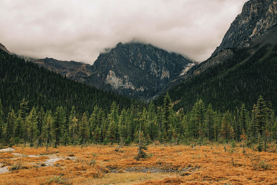 Autumn In The Canadian Rockies Landscape Photograph by Dan Sproul