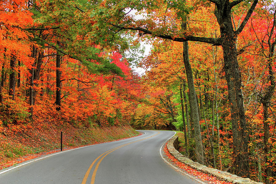 Autumn in the Cumberland Gap Photograph by Robert Harris