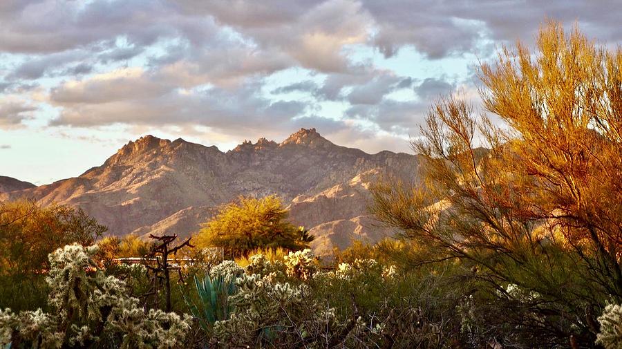 Autumn in the Desert Photograph by Terry Groben - Fine Art America