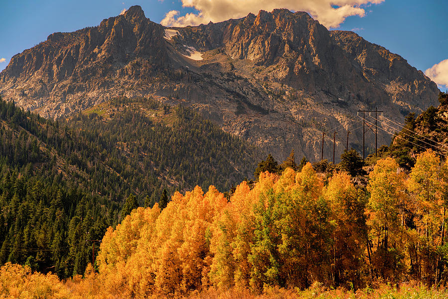 Autumn in the Eastern Sierras Photograph by Lindsay Thomson