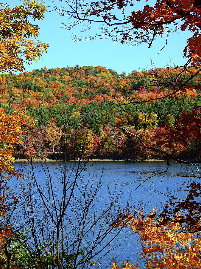 Autumn in the Finger Lakes Photograph by Dawn Steiger - Pixels