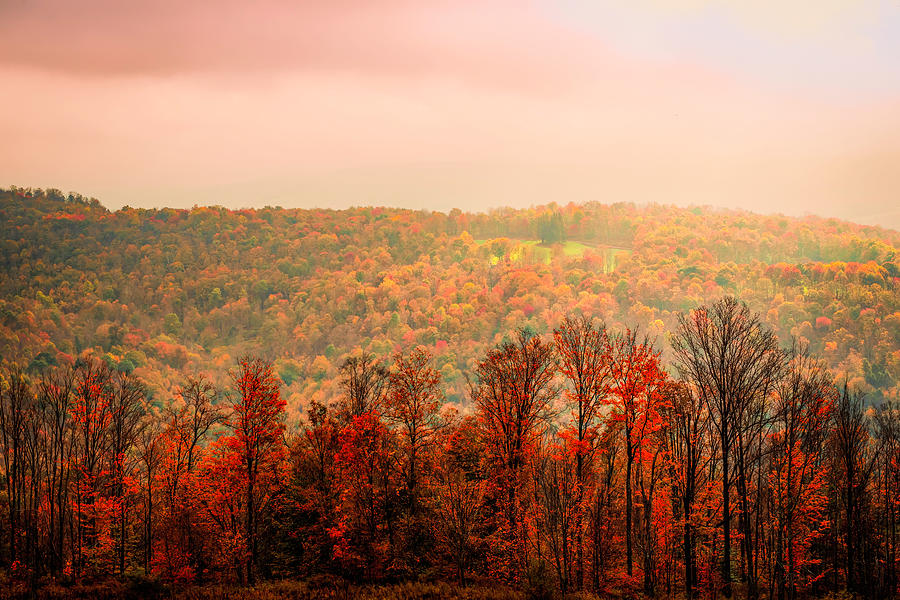 Autumn in the Forests of Pennsylvania Photograph by Lindsay Thomson