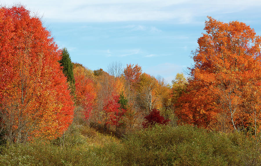 Autumn in the hills Photograph by Hermit Hollow Photography | Fine Art ...