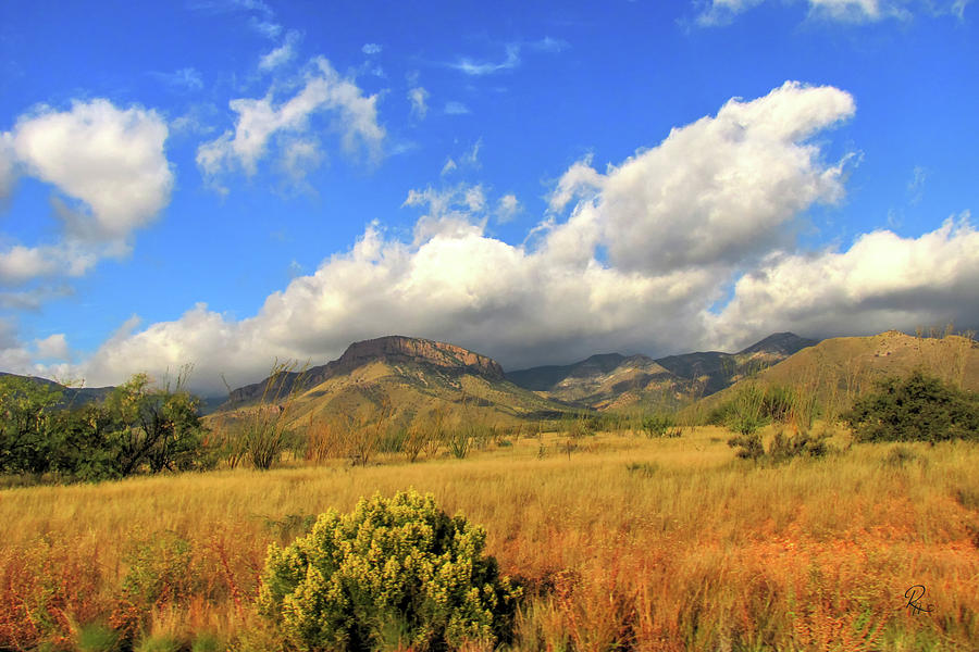 Autumn In The Huachuca Mountains Photograph by Robert Harris