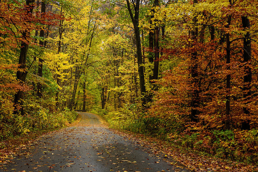 Autumn in the Laurel Highlands Photograph by Clare Kaczmarek - Fine Art ...