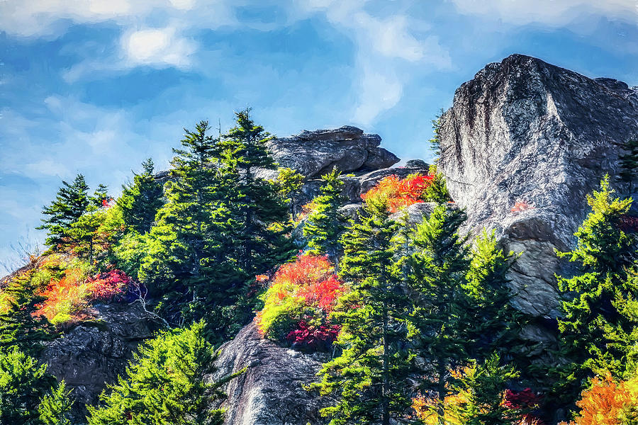 Autumn in the Mountains ap Photograph by Dan Carmichael