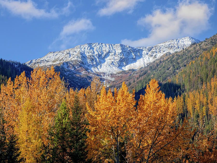 Autumn in the Northern Rockies Photograph by Jack Bell