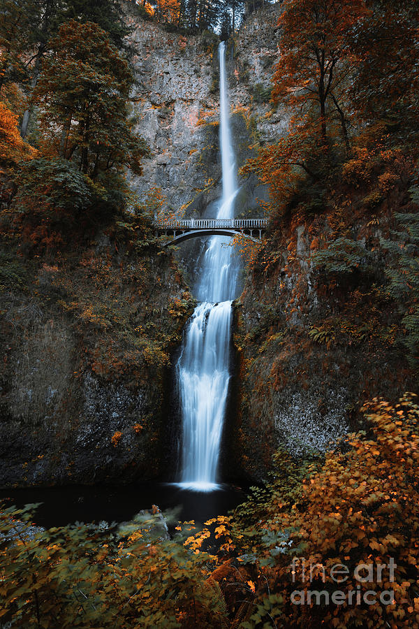Autumn In The Pacific Northwest Photograph