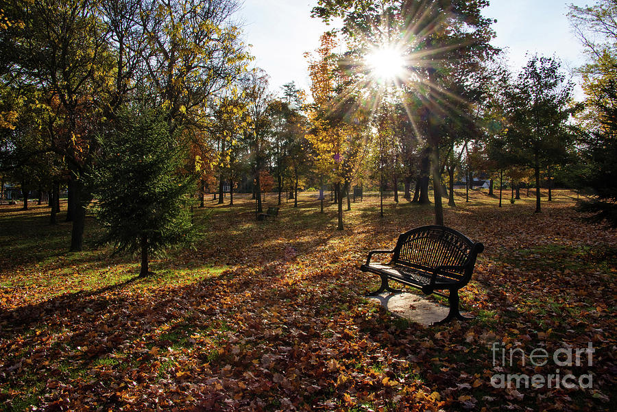 Autumn in the Park Photograph by Ed McDermott