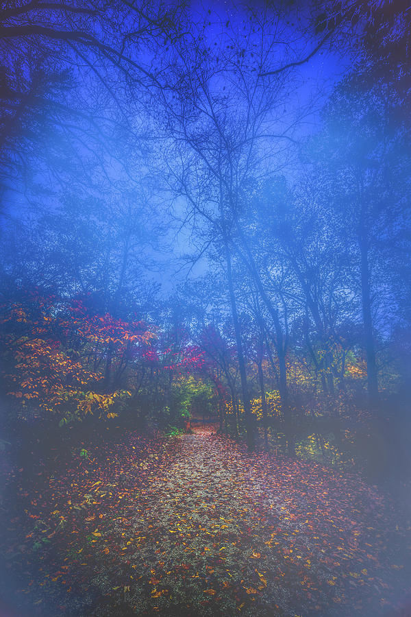 Autumn In The Park Photograph