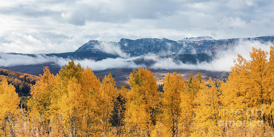 Autumn in the Rockies Photograph by JBK Photo Art Autumn in the Rockies Photograph by JBK Photo Art