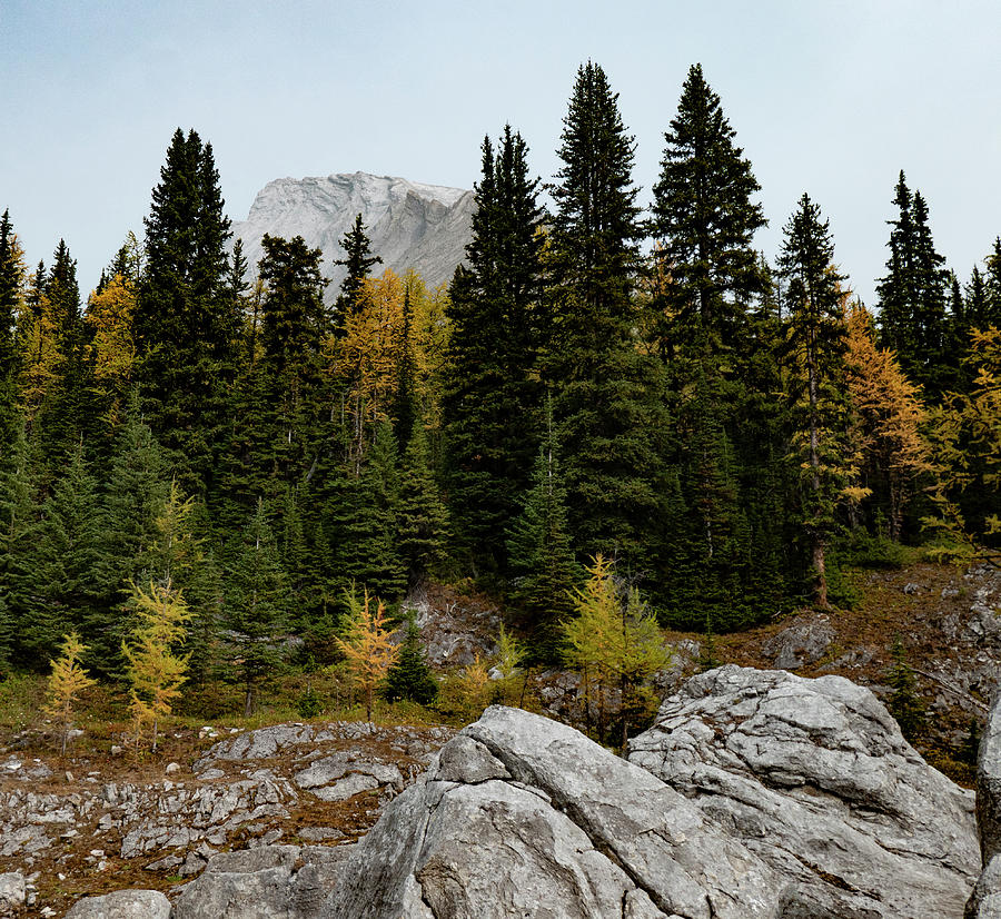 Fall Photograph - autumn in the Rocky Mountains by Phil And Karen Rispin