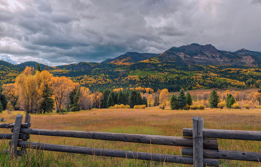 Autumn in the San Juan River Valley Photograph by Loree Johnson