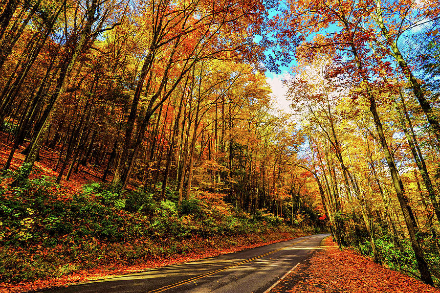 Autumn in the Smokies 060 Photograph by James C Richardson