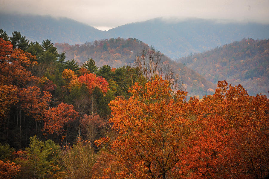 Autumn in the Smokies 079 Photograph by James C Richardson