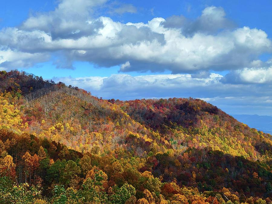 Autumn in the Smokies  Photograph by Ally White