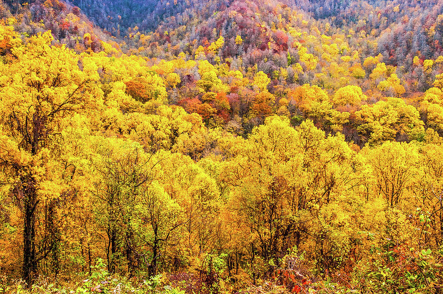 Autumn in the Smokies_058 Photograph by James C Richardson