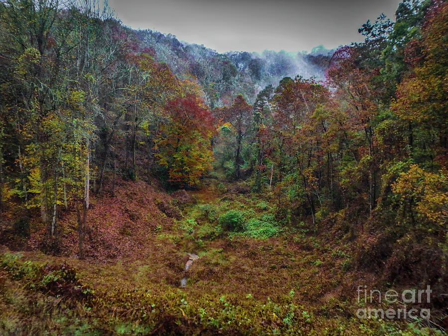 Autumn in the Smoky Mountains Photograph by Judy Hall-Folde