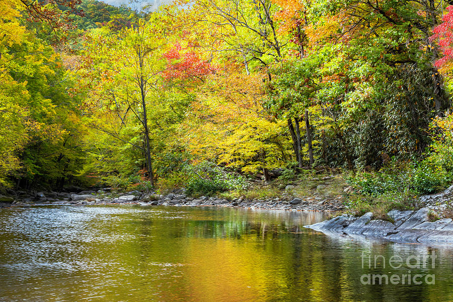 Autumn in the Smoky Mountains Photograph by Theresa D Williams