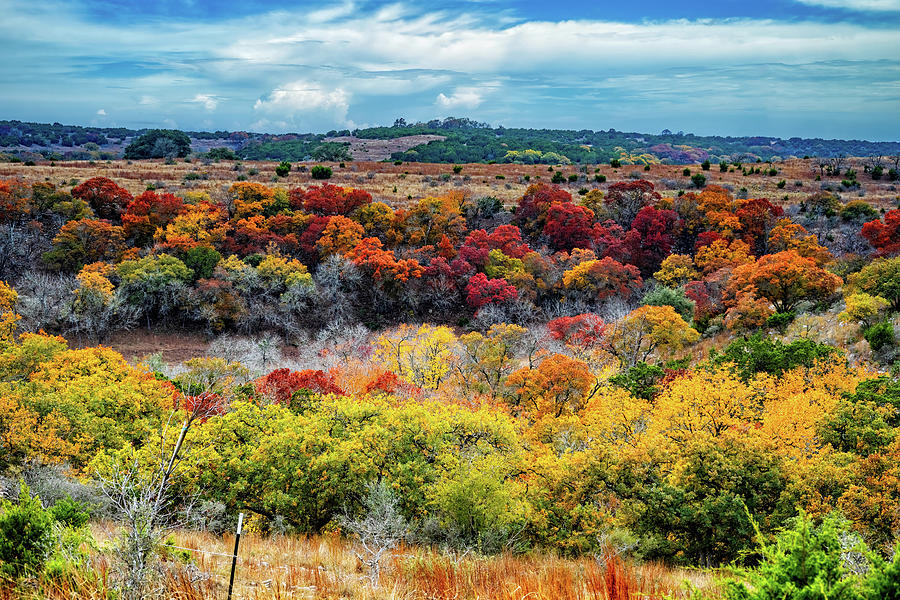 Autumn in the Texas Hill Country Photograph by Lynn Bauer