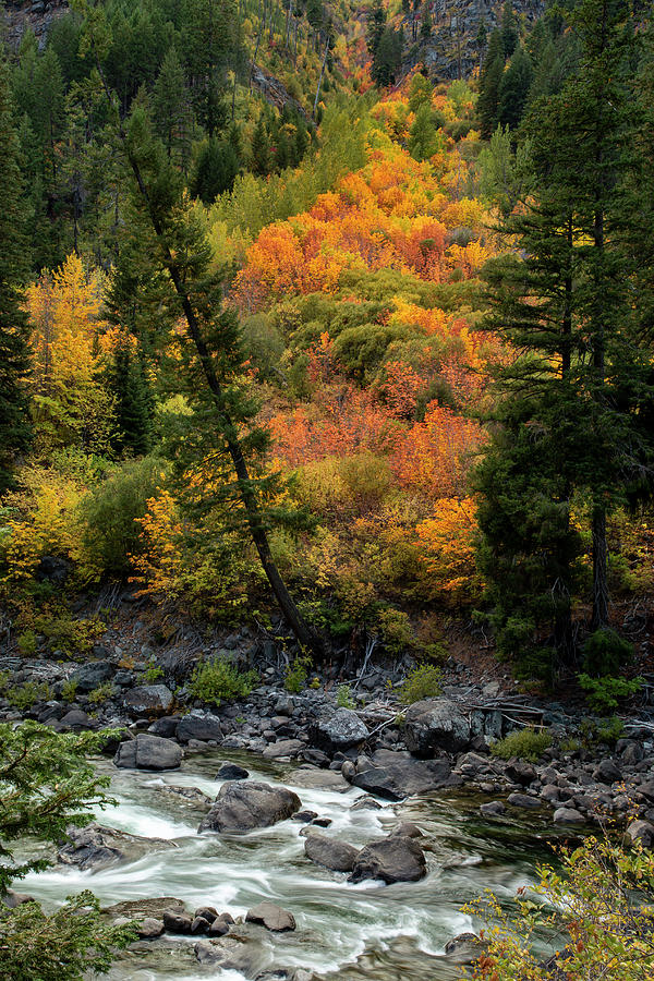 Autumn in the Tumwater Canyon Photograph by Mary Jo Allen