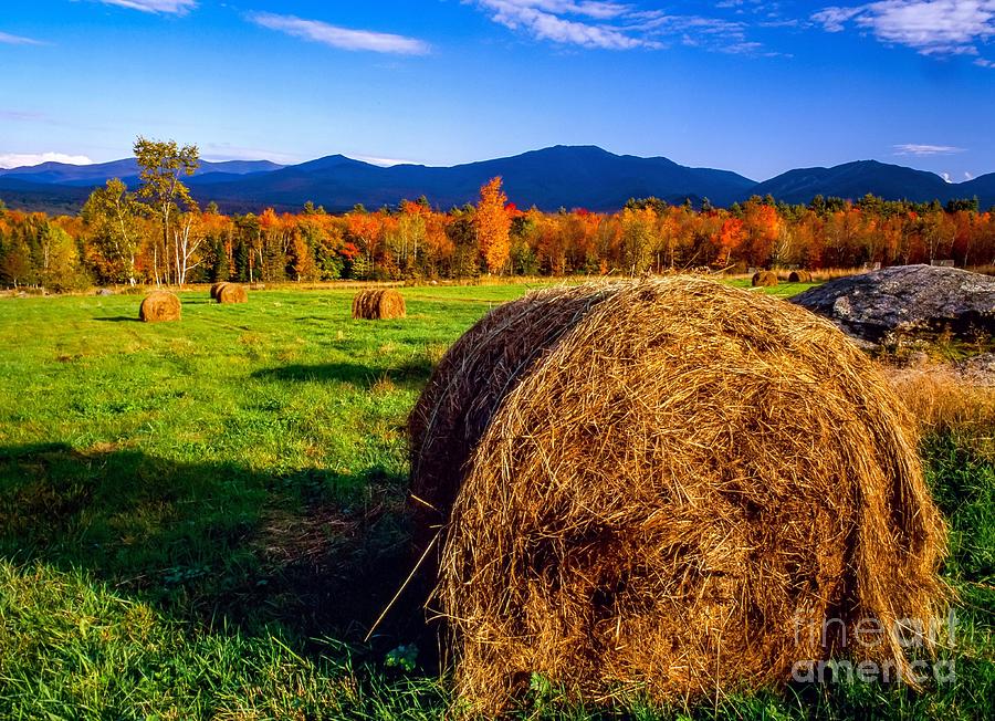 Fall foliage colors of the White Mountains Photograph by Michael McCormack