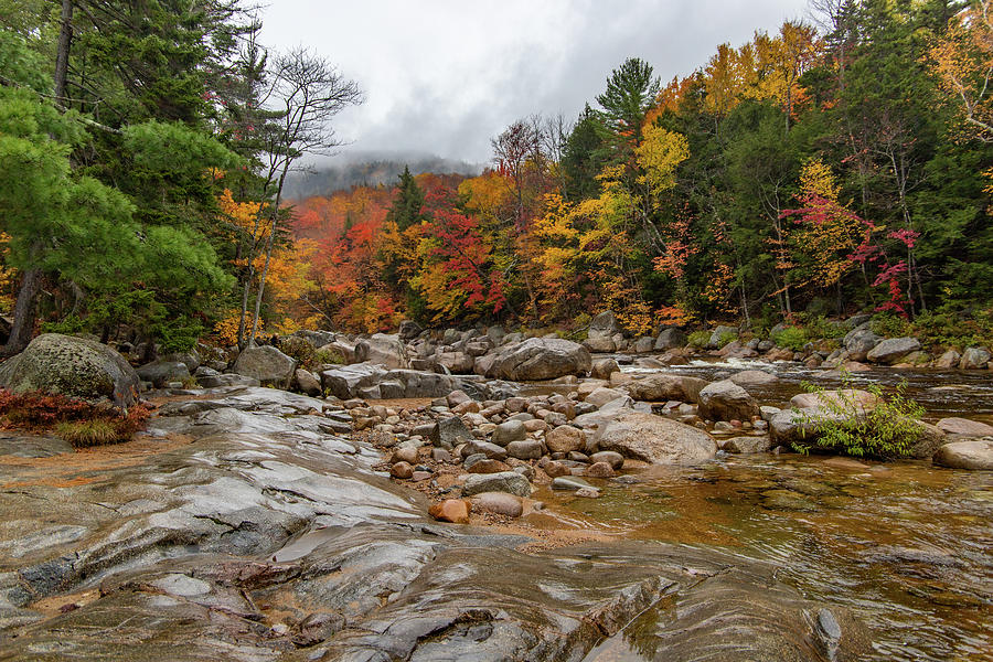 Autumn in the White Mountains NH 1 Photograph by Michael Saunders