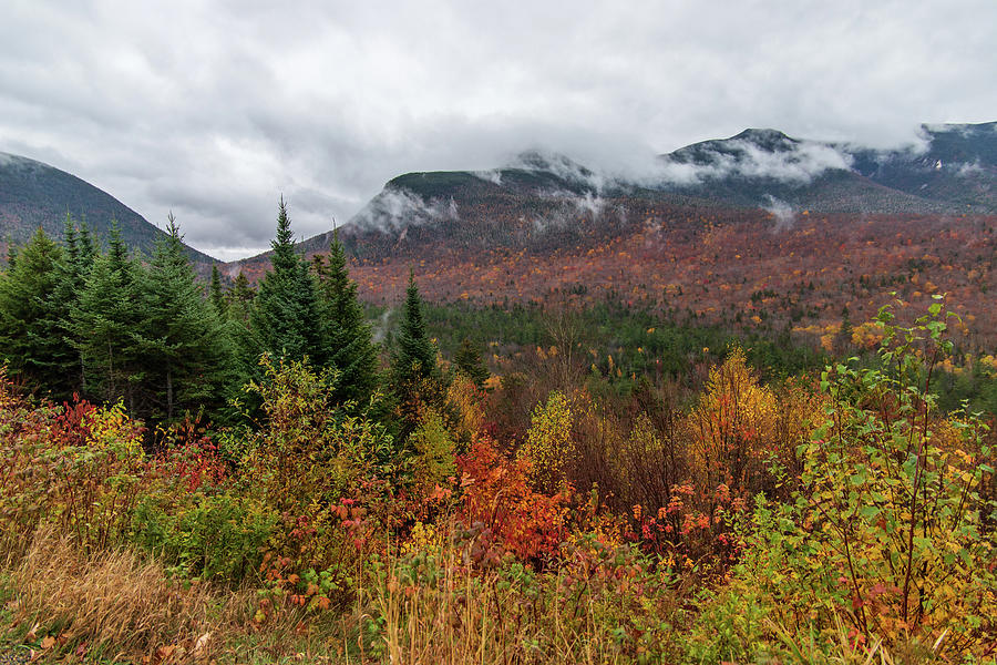 Autumn in the White Mountains NH 4 Photograph by Michael Saunders