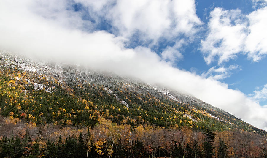Autumn in the White Mountains NH 7 Photograph by Michael Saunders