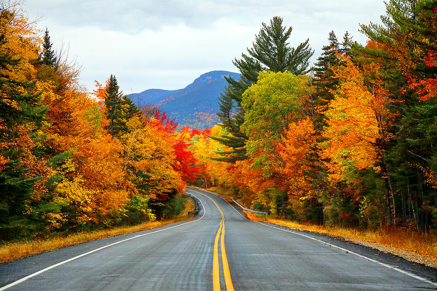 Autumn in the White Mountains of New Hampshire Photograph by DenisTangneyJr