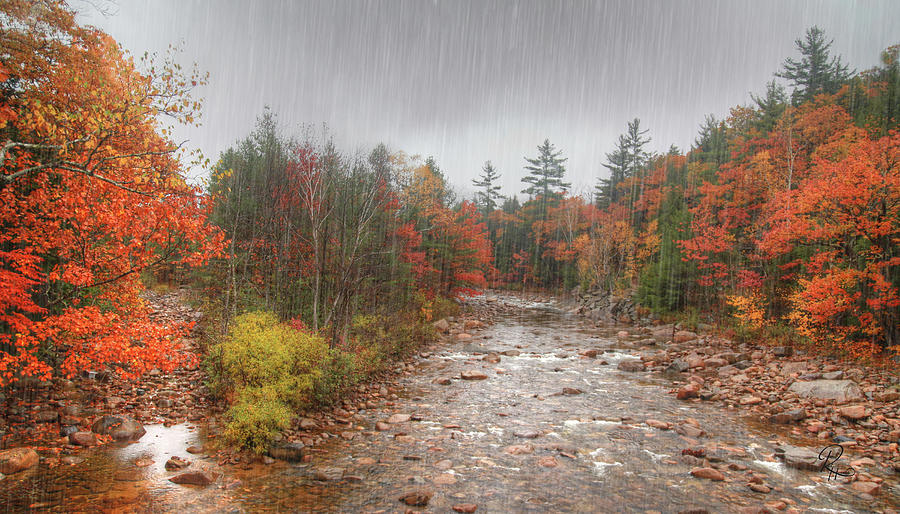 Autumn In The White Mountains Photograph by Robert Harris