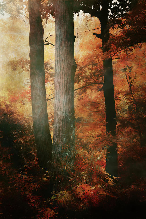 Autumn in the Woods Digital Art by Scott Norris