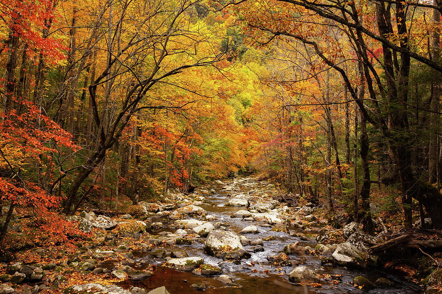 Autumn In Tremont Area Of Great Smoky Mountains National Park ...