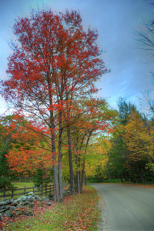 Autumn In Vermont II Photograph by Robert Harris