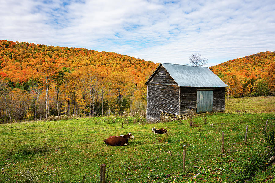 Autumn in Vermont in the Woodstock Countryside 2 Photograph by Ron Long Ltd Photography