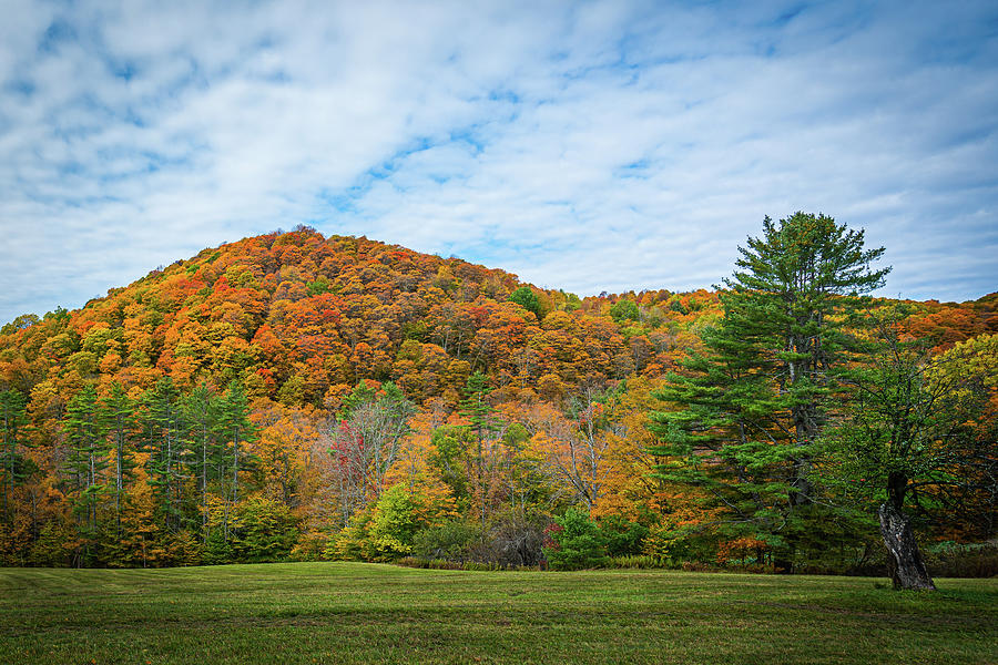 Autumn in Vermont in the Woodstock Countryside 3 Photograph by Ron Long Ltd Photography