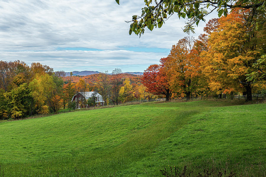 Autumn in Vermont in the Woodstock Countryside 5 Photograph by Ron Long Ltd Photography