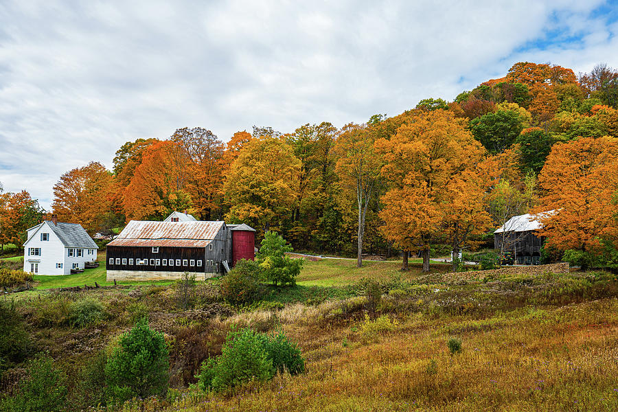 Autumn in Vermont in the Woodstock Countryside 6 Photograph by Ron Long Ltd Photography